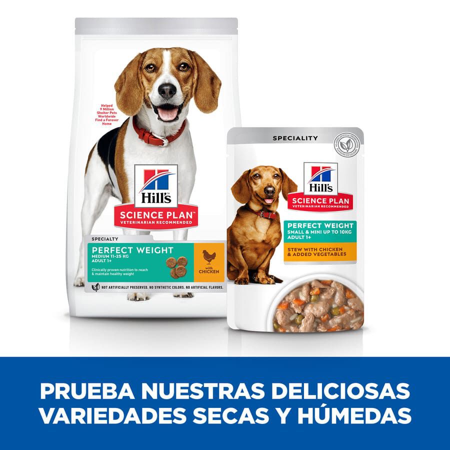 48 sobres x 80 g Hill's Science Plan Perfect Weight Adult Small y Mini estofado de pollo y vegetales sobre para perros &iexcl;Pack ahorro!, , large Imagen numero 7